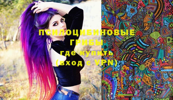 твердый Надым