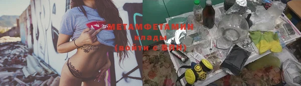 гидра Белая Холуница
