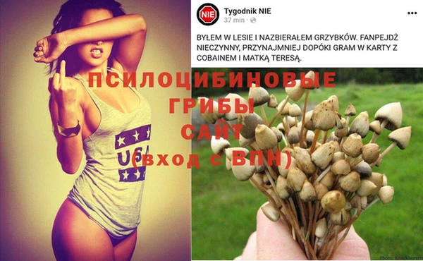 гидра Белая Холуница