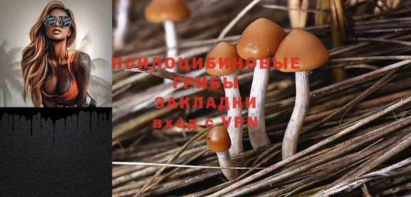 винт Наволоки