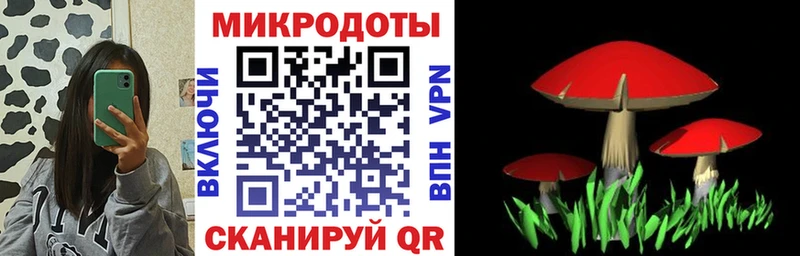 мориарти формула  omg зеркало  Нарткала  Галлюциногенные грибы MAGIC MUSHROOMS 