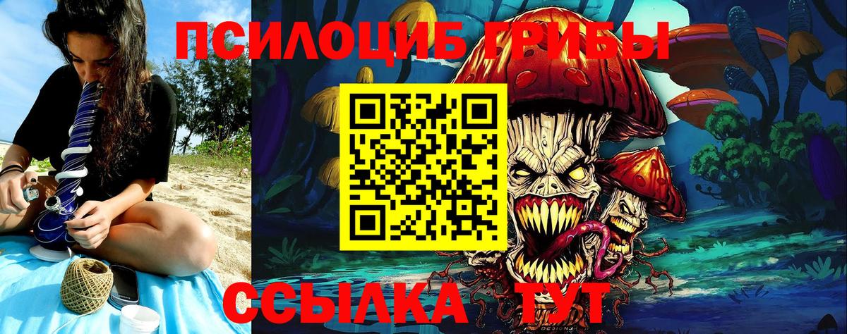 Галлюциногенные грибы прущие грибы  Нарткала 