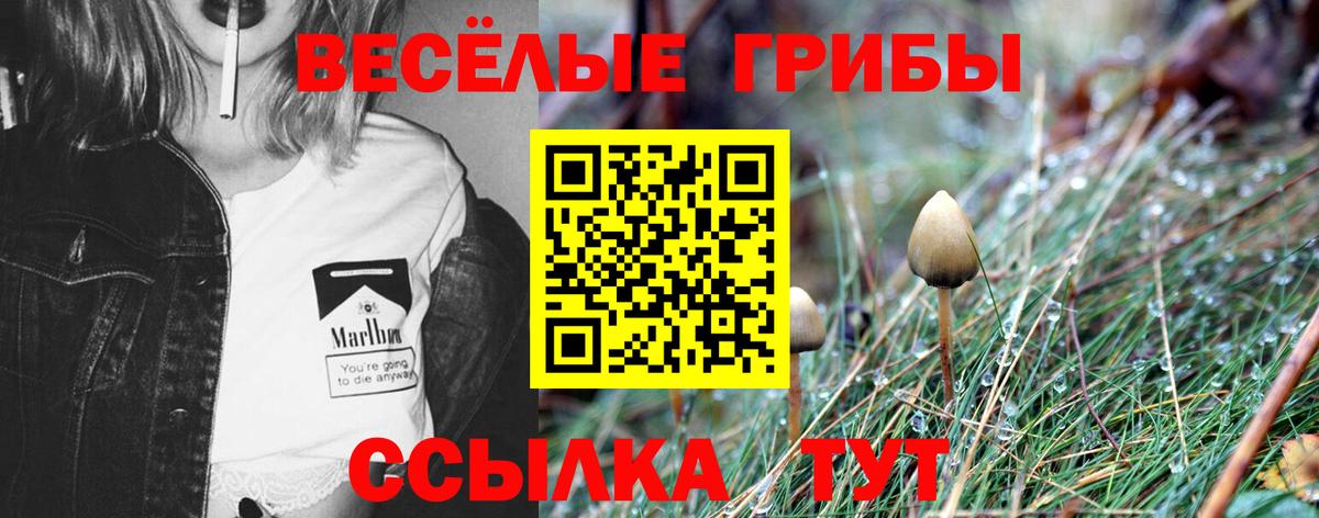 Галлюциногенные грибы ЛСД Нарткала